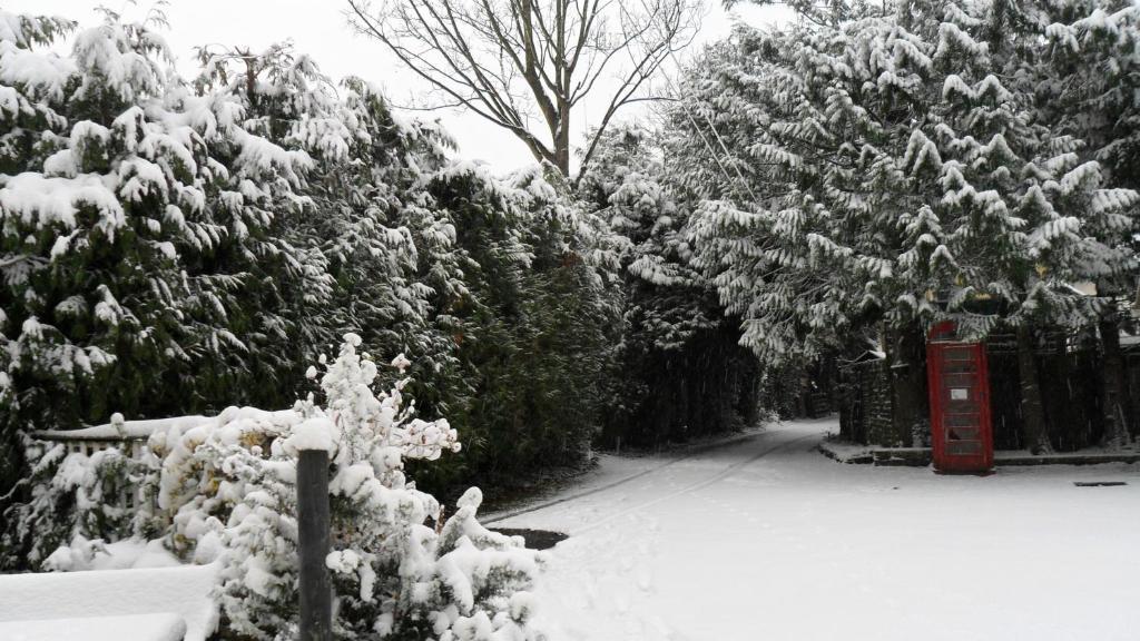 Coach House Cottage Bournemouth Phòng bức ảnh